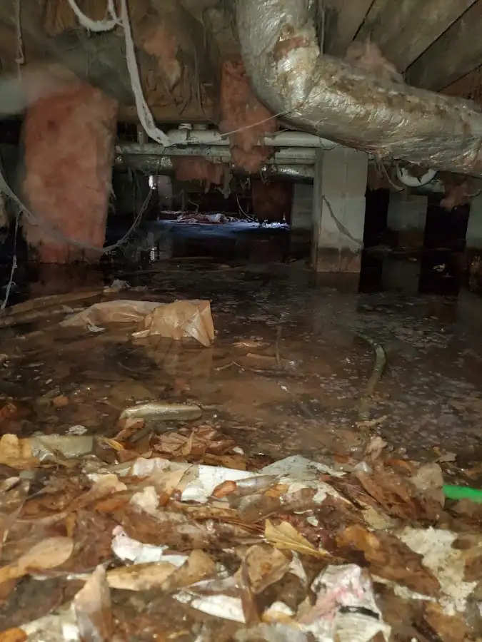 Crawl space flood assessment for Leak Detection & Repair in Bay St. Louis